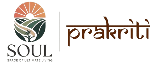 Soul Prakriti